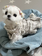 Denim Crossbody Pet Carrier Bag