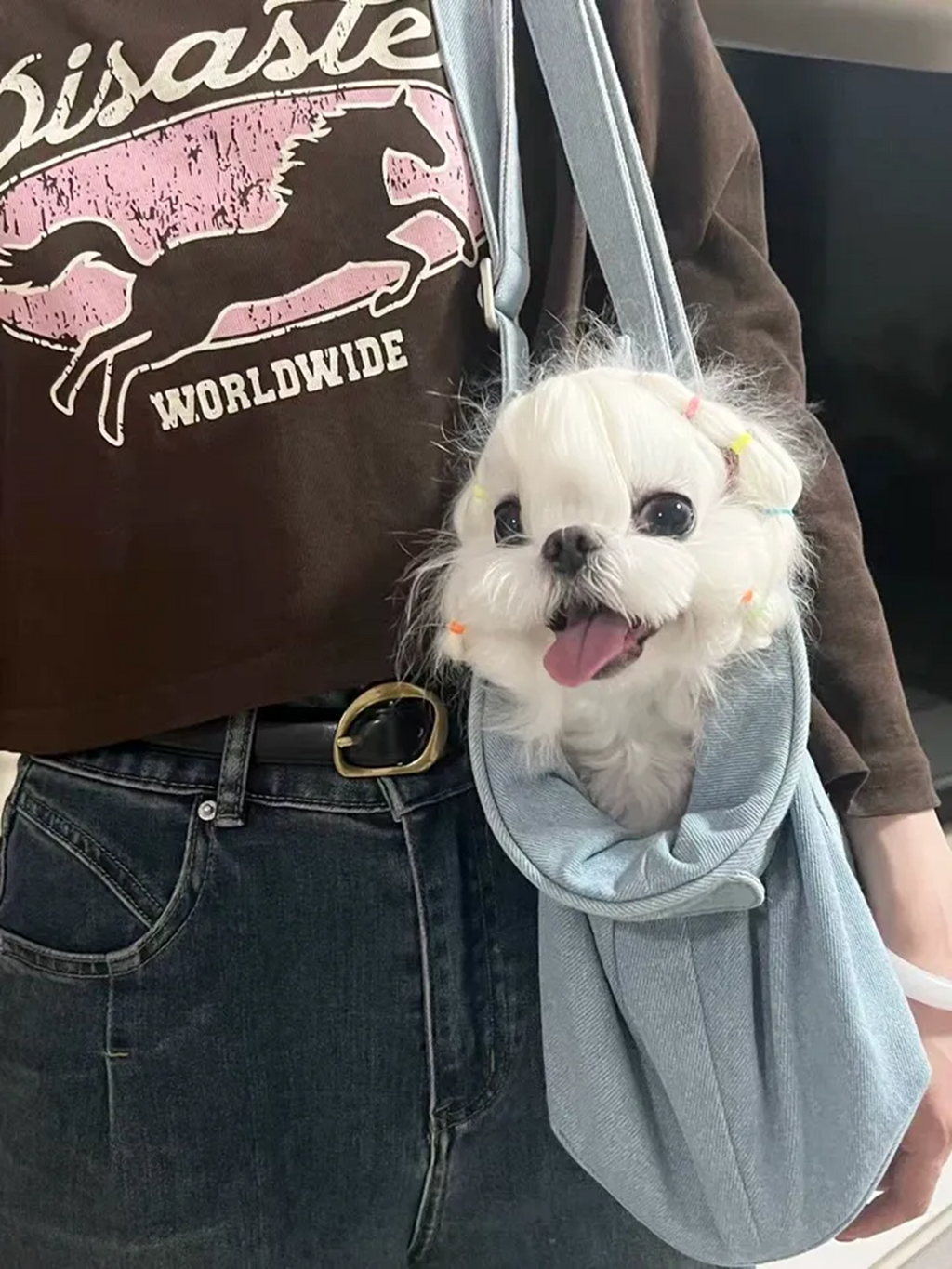 Denim Crossbody Pet Carrier Bag