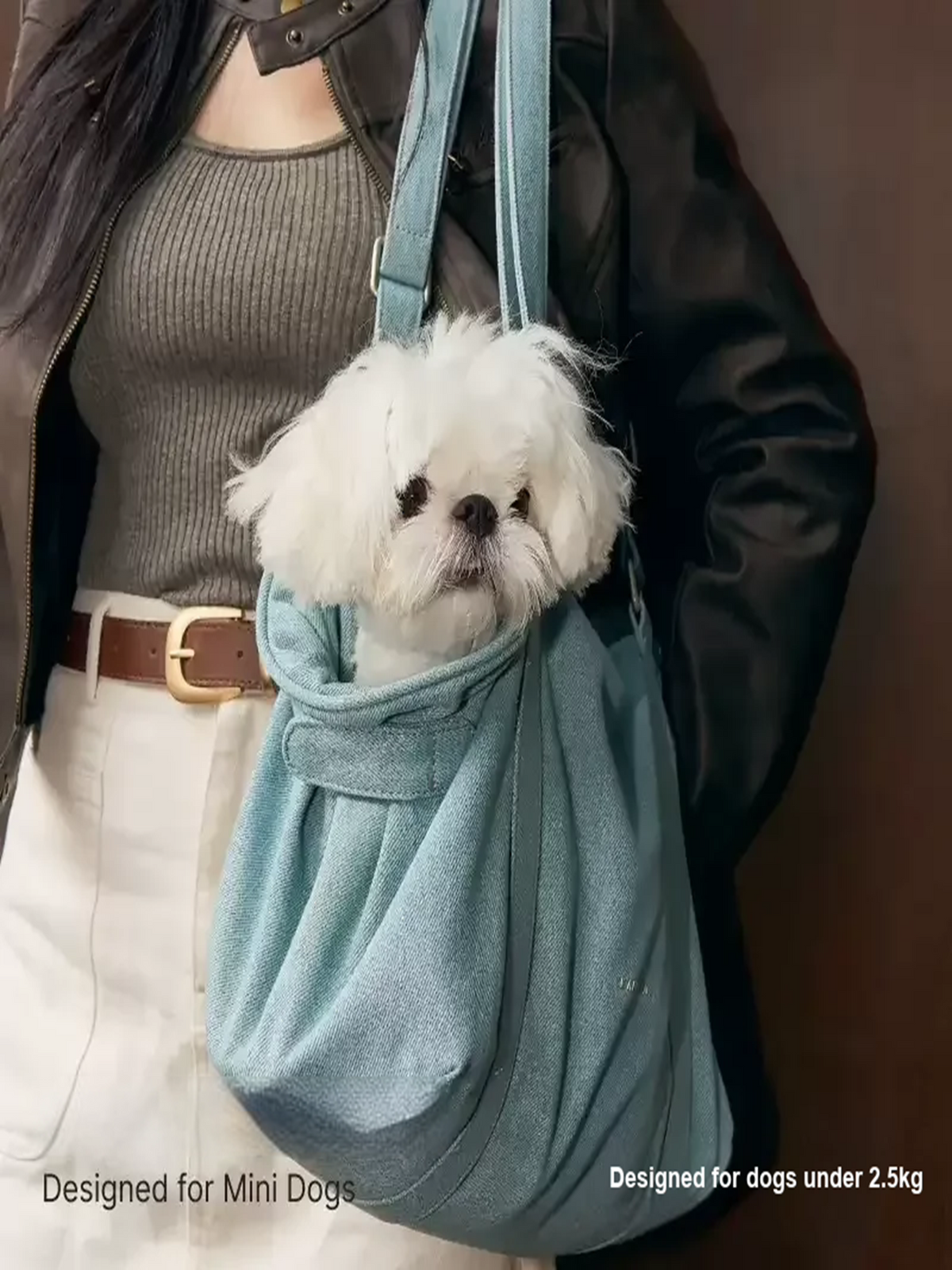 Denim Crossbody Pet Carrier Bag