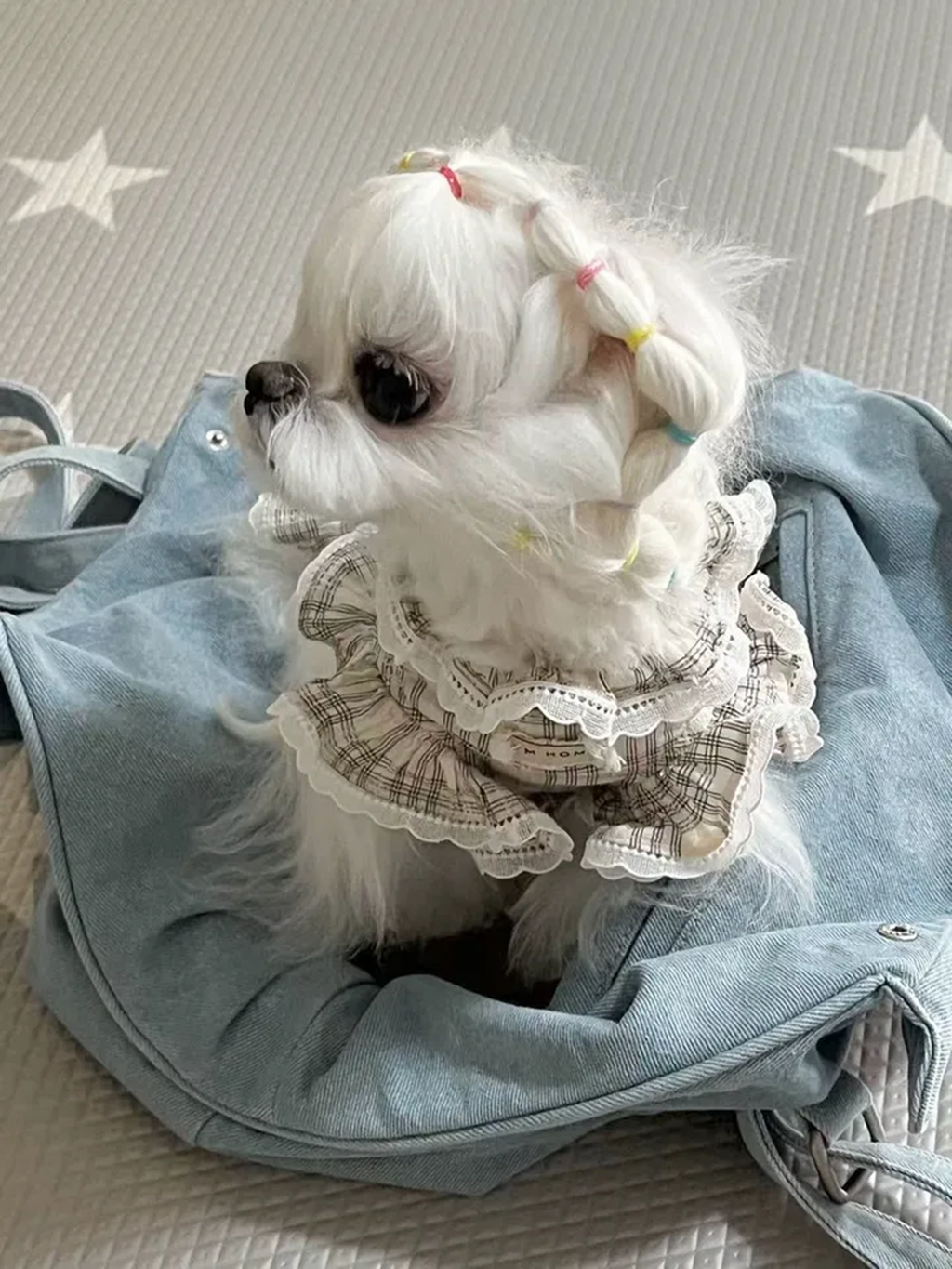 Denim Crossbody Pet Carrier Bag