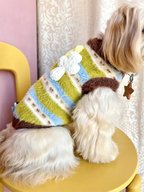 Dog Cross-Knit Striped Warm Clothes