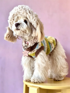 Dog Cross-Knit Striped Warm Clothes