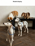 Dog Outing Protective Chest Strap