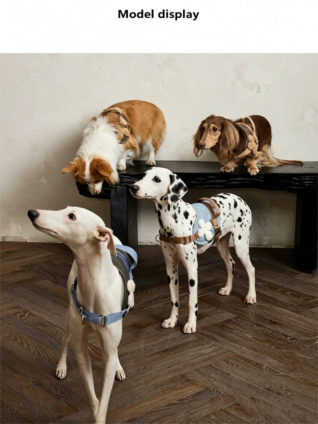 Dog Outing Protective Chest Strap