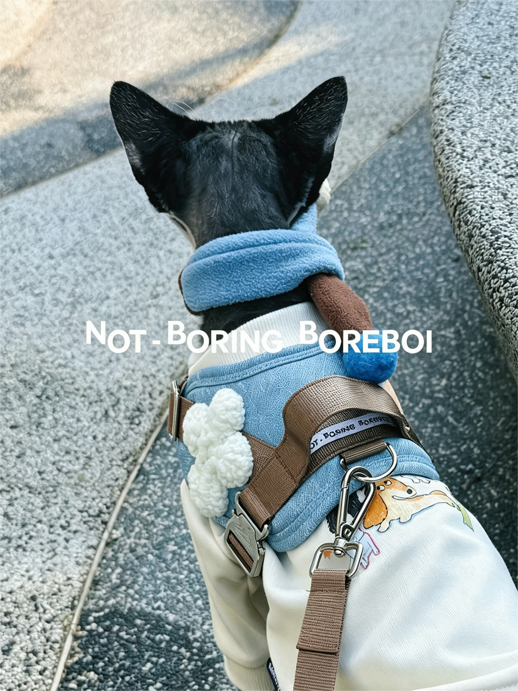 Dog Outing Protective Chest Strap