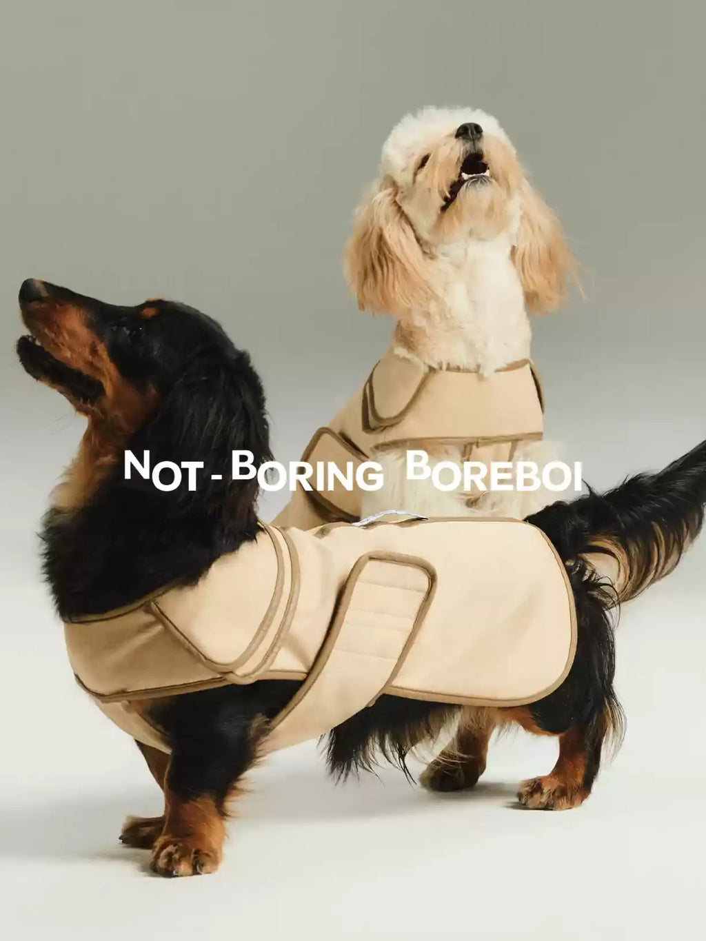 Double-Layered Sheepskin Collar Pet Jacket