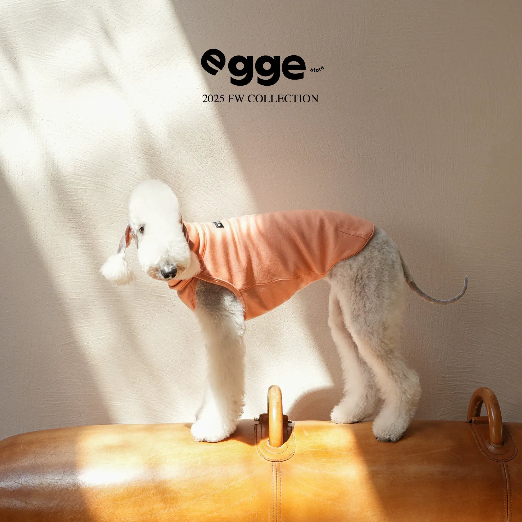 Egge Autumn Winter Anti-static Belly Protector Vest