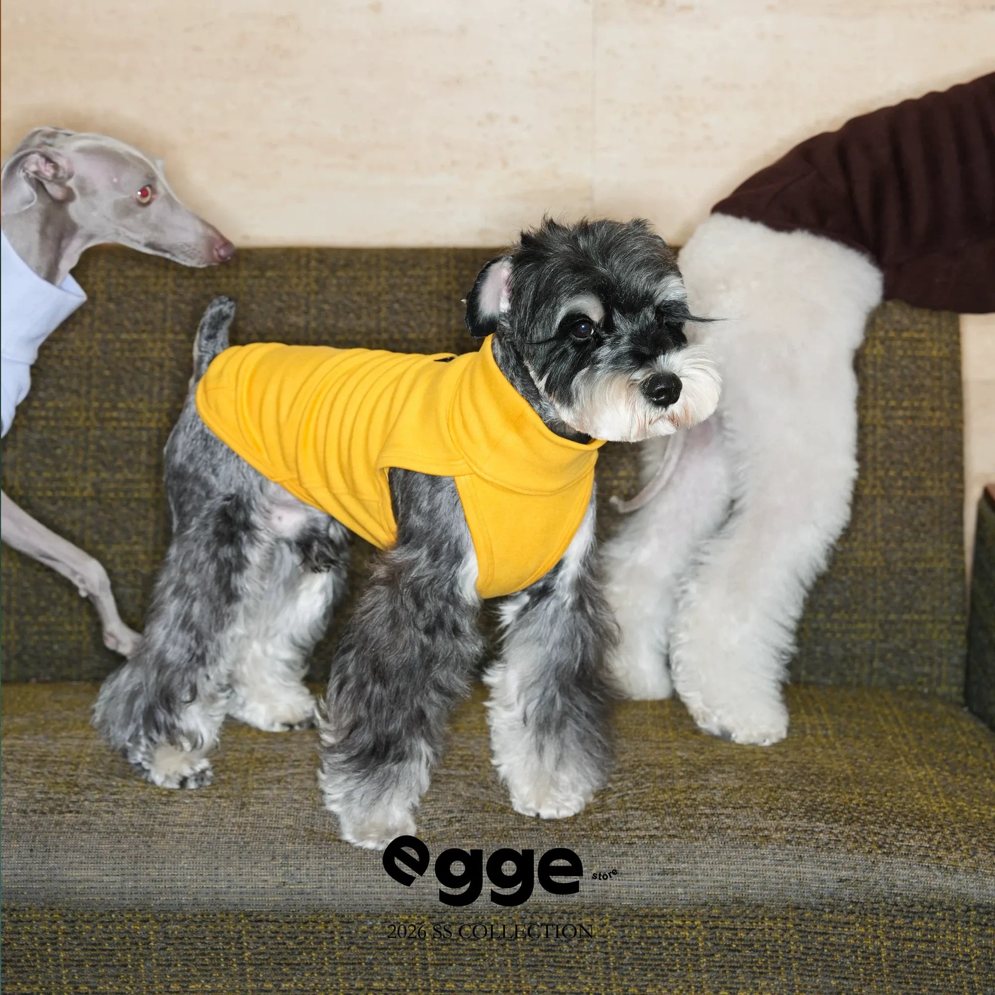 Egge Autumn Winter Anti-static Belly Protector Vest