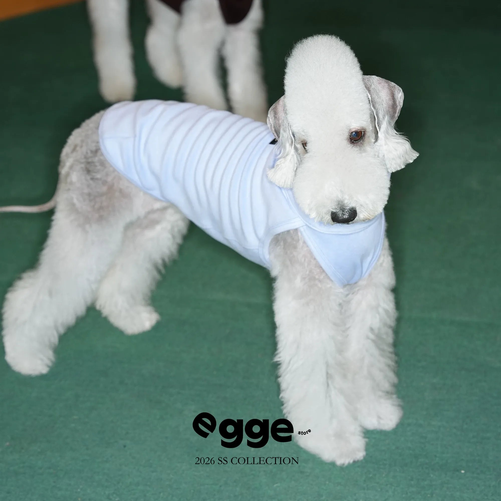 Egge Autumn Winter Anti-static Belly Protector Vest
