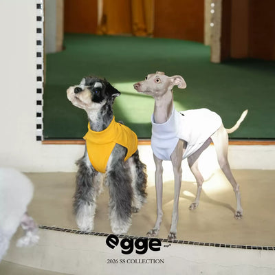 Pet Vest