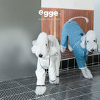 Egge Autumn Winter Fleece-Lined Warm School Uniform Sweatshirt