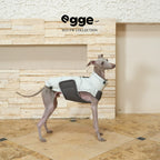 Egge Autumn and Winter 90 White Duck Down Dog Quick-change Vest