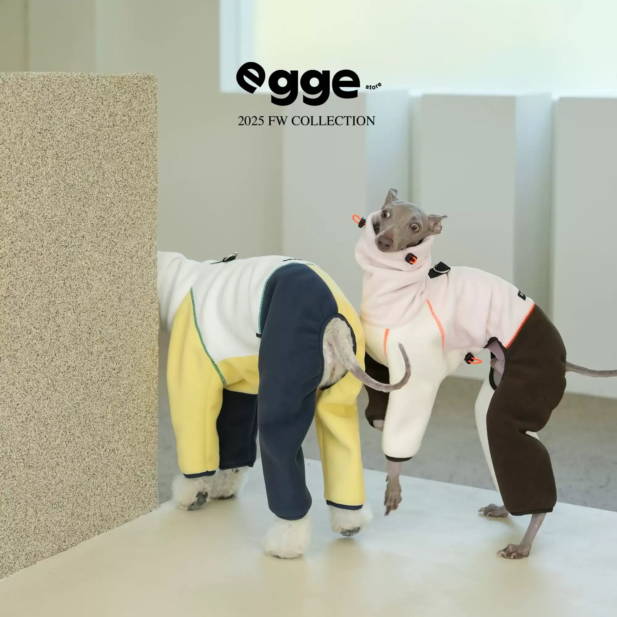 Egge Autumn and Winter Anti-static Super Soft Dog Sweater