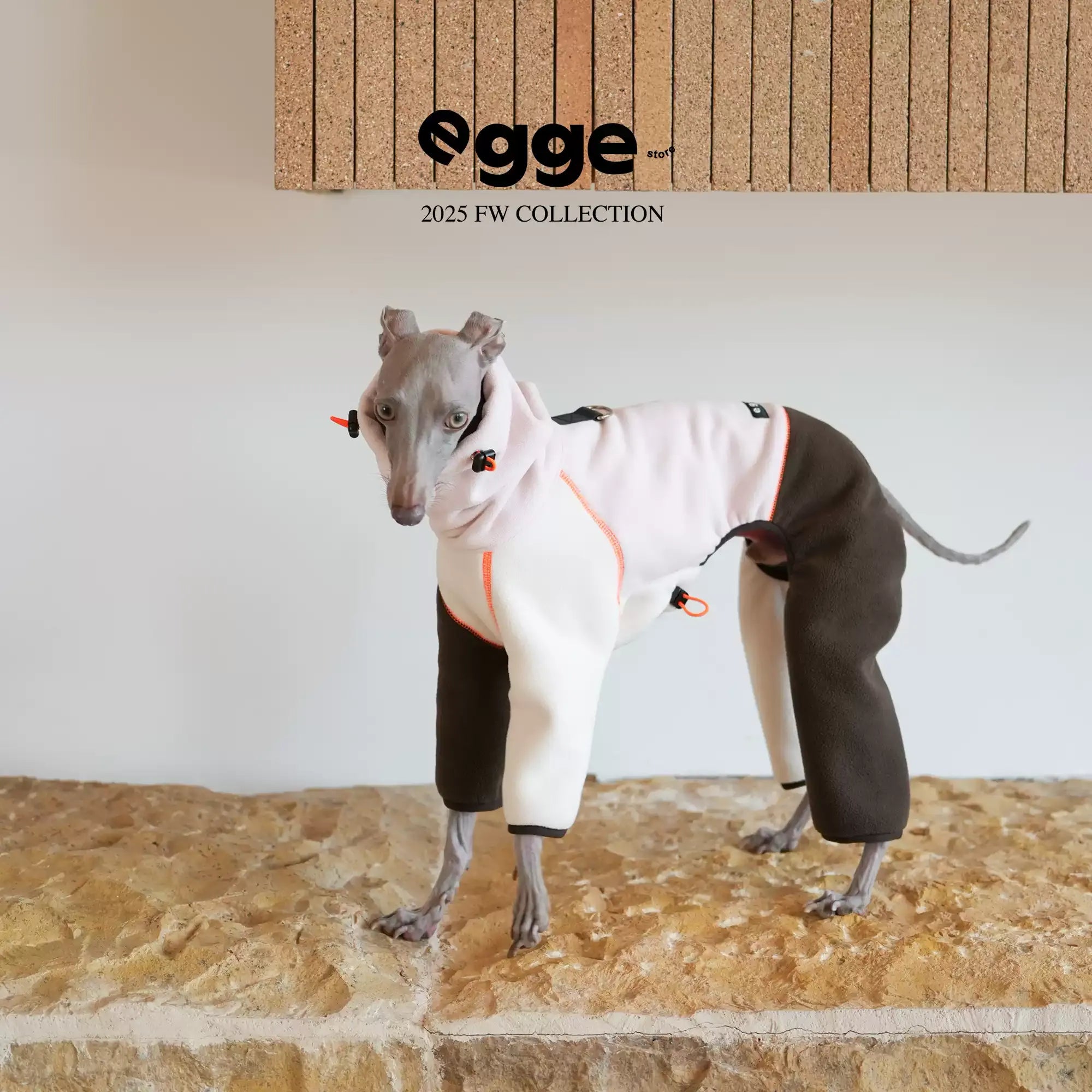 Egge Autumn and Winter Anti-static Super Soft Dog Sweater