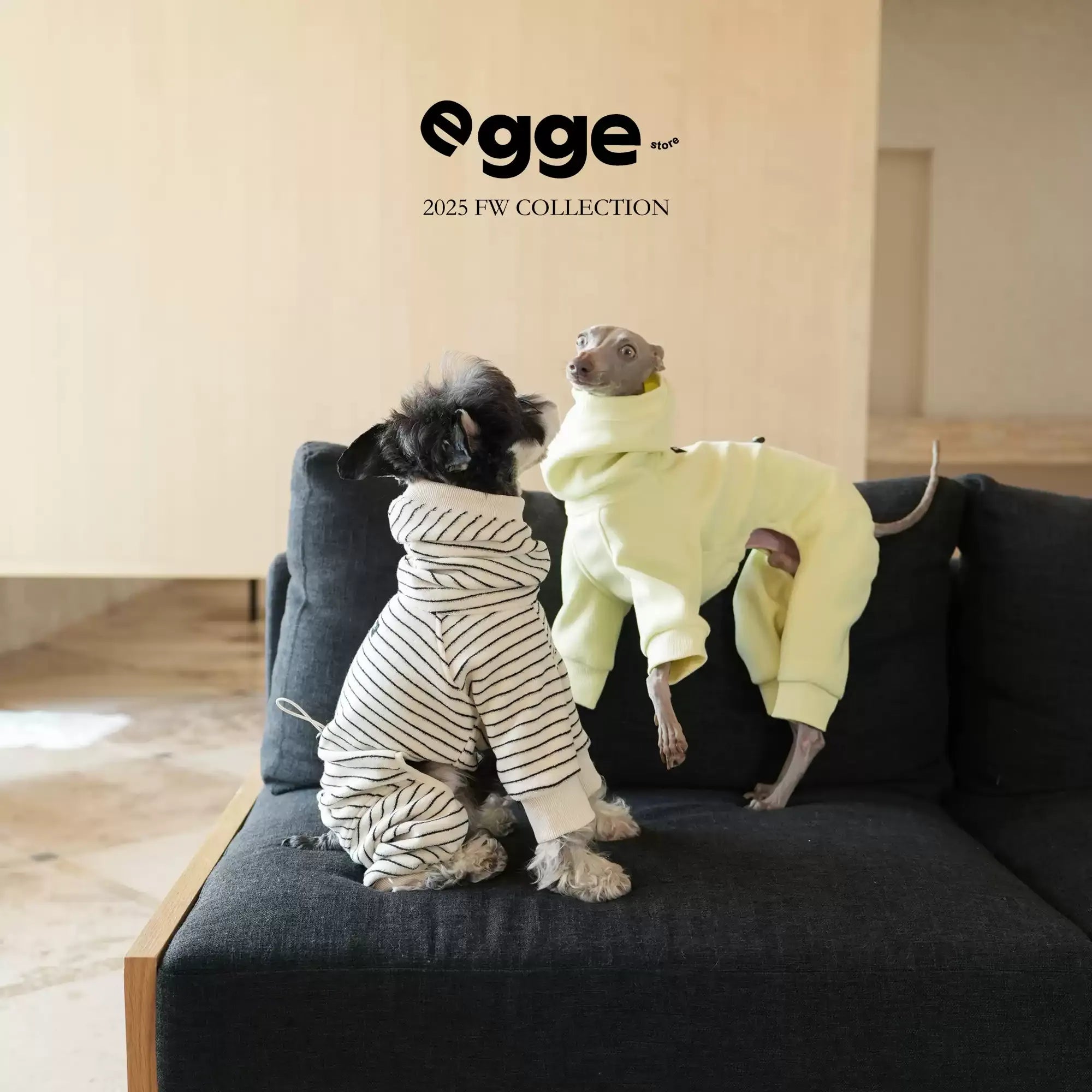Egge Autumn and Winter Terry Dog Sweater with Circle Pattern
