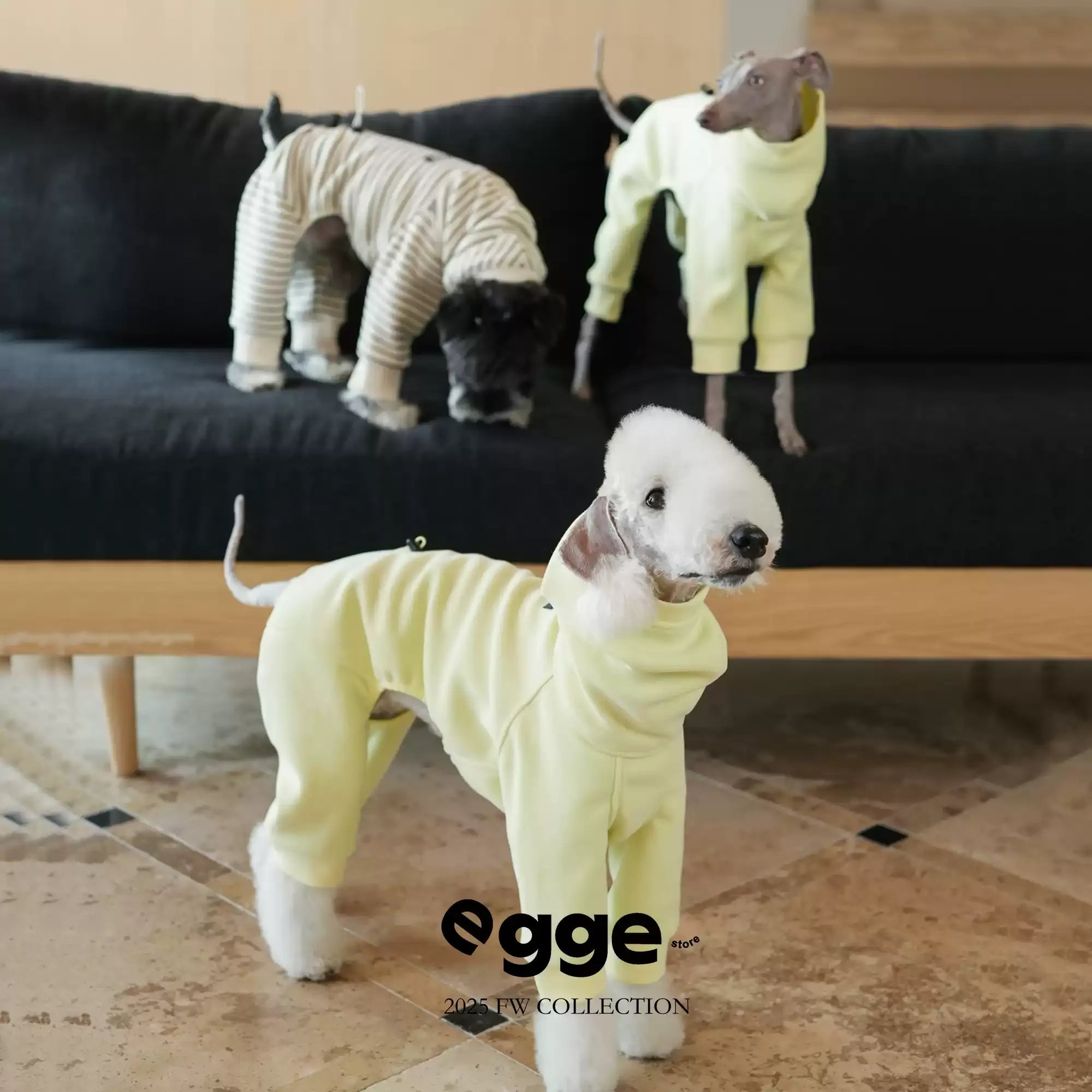 Egge Autumn and Winter Terry Dog Sweater with Circle Pattern