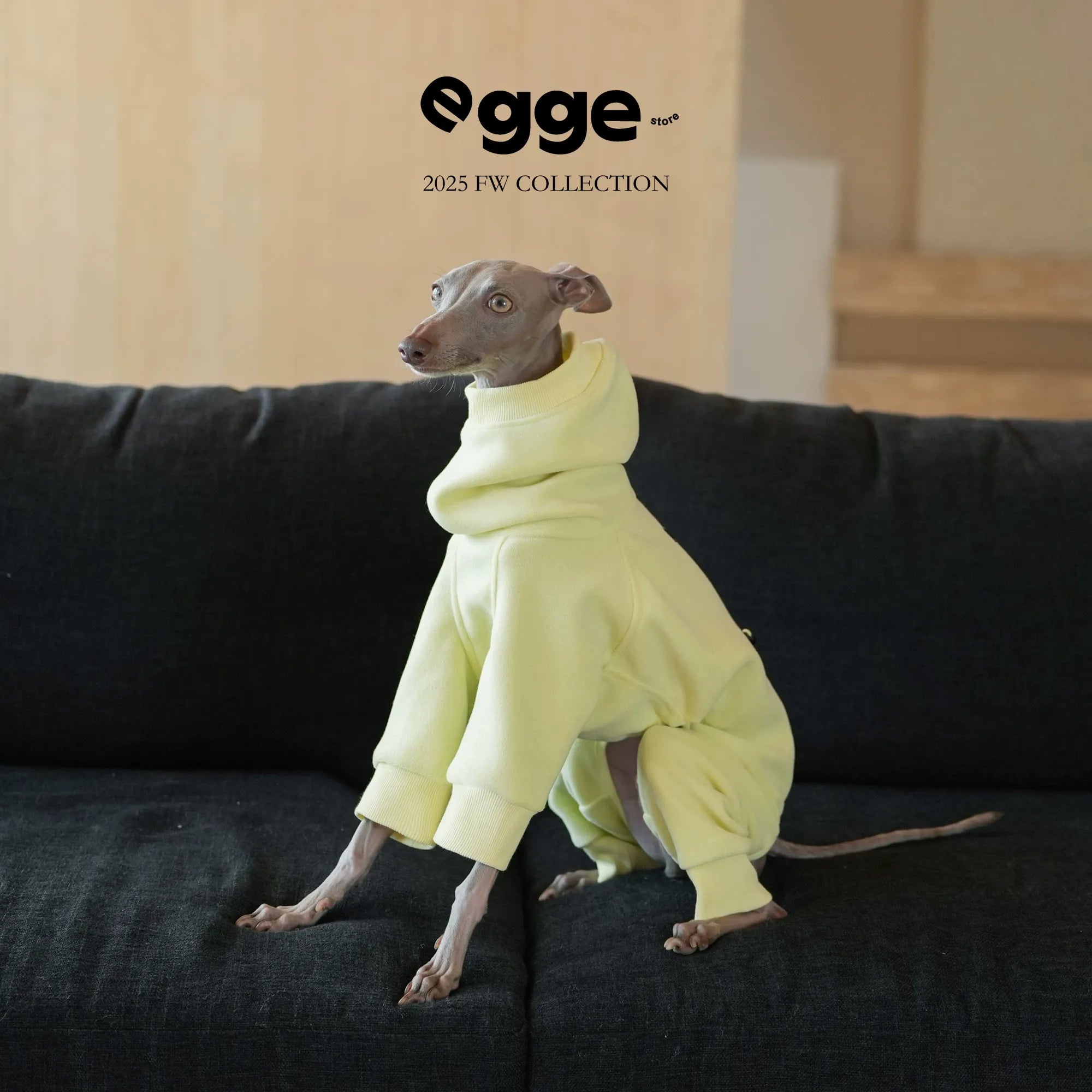 Egge Autumn and Winter Terry Dog Sweater with Circle Pattern