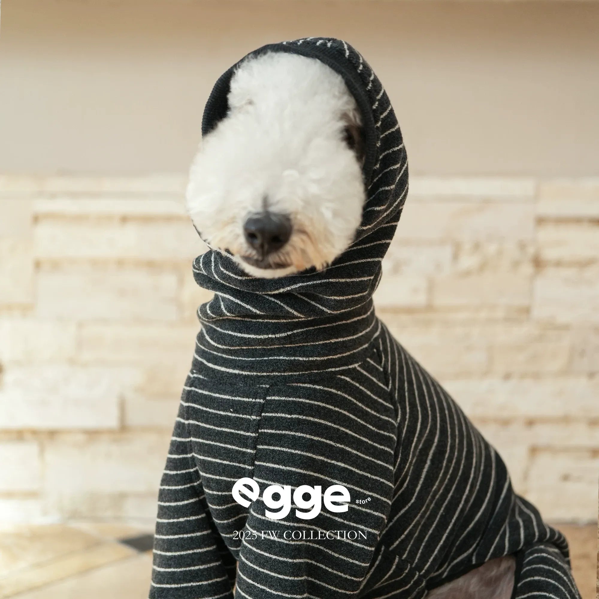 Egge Autumn and Winter Terry Dog Sweater with Circle Pattern