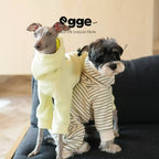 Egge Autumn and Winter Terry Dog Sweater with Circle Pattern