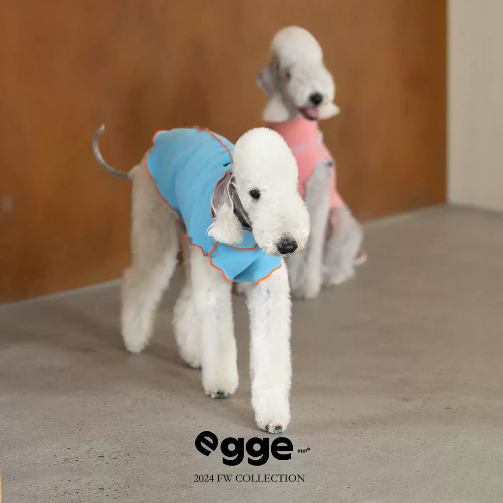 Egge Autumn and Winter Velvet Knitted Color-blocking Warm Anti-static Pet Vest