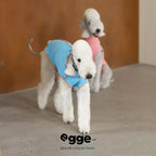 Egge Autumn and Winter Velvet Knitted Color-blocking Warm Anti-static Pet Vest