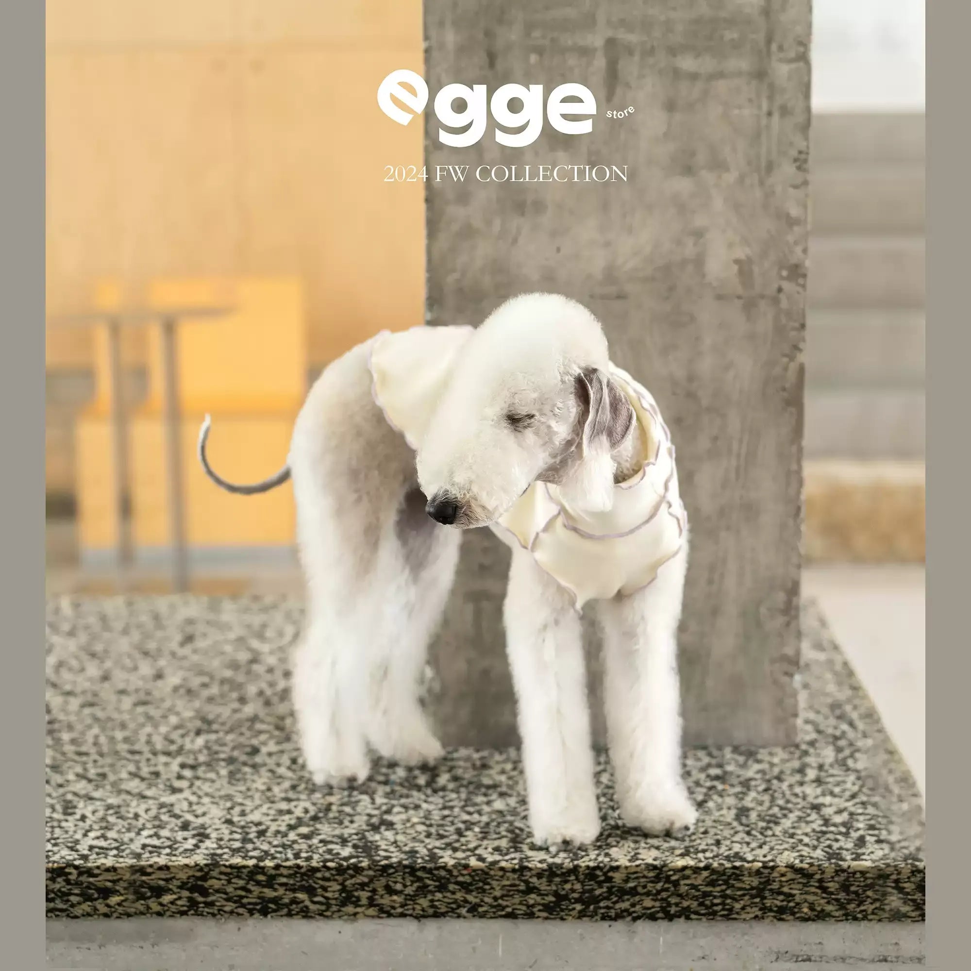 Egge Autumn and Winter Velvet Knitted Color-blocking Warm Anti-static Pet Vest