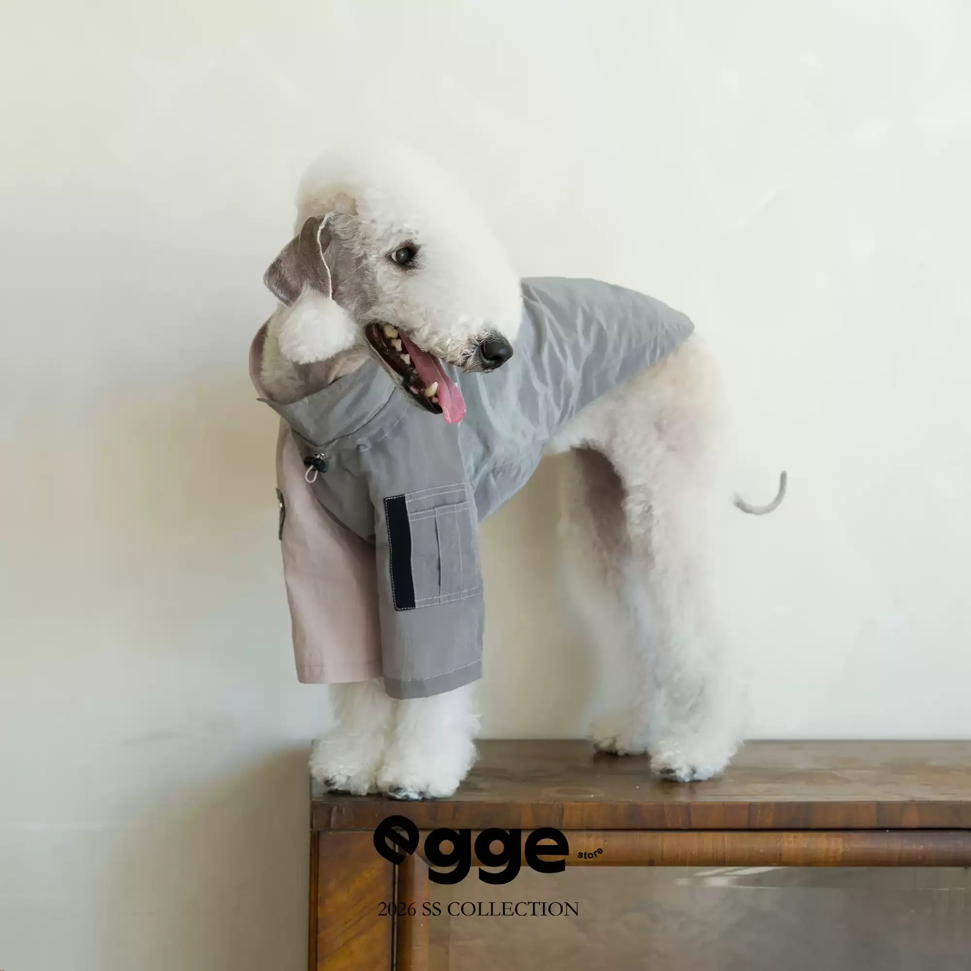 Egge Spring Summer Waterproof Ultralight Dog Sweatshirt