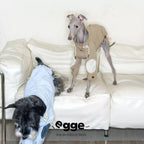 Egge Barn-style Retro Dog Trench Coat