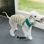 Egge Bellington Contrast-Color Crochet Vest With Cut-Out Design, Featuring A Dopamine-Inspired Vacation Style