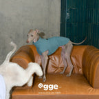 Egge Bellington Cooling Vest UPF50 + Sunscreen for Summer Cooling