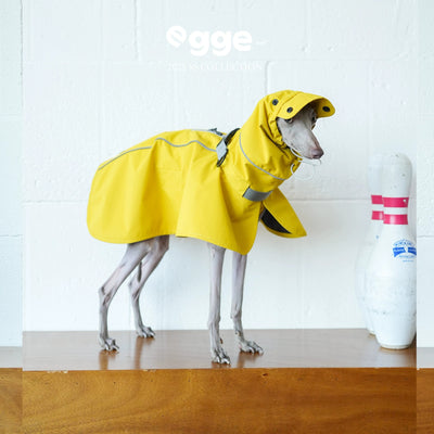 Pet Raincoat