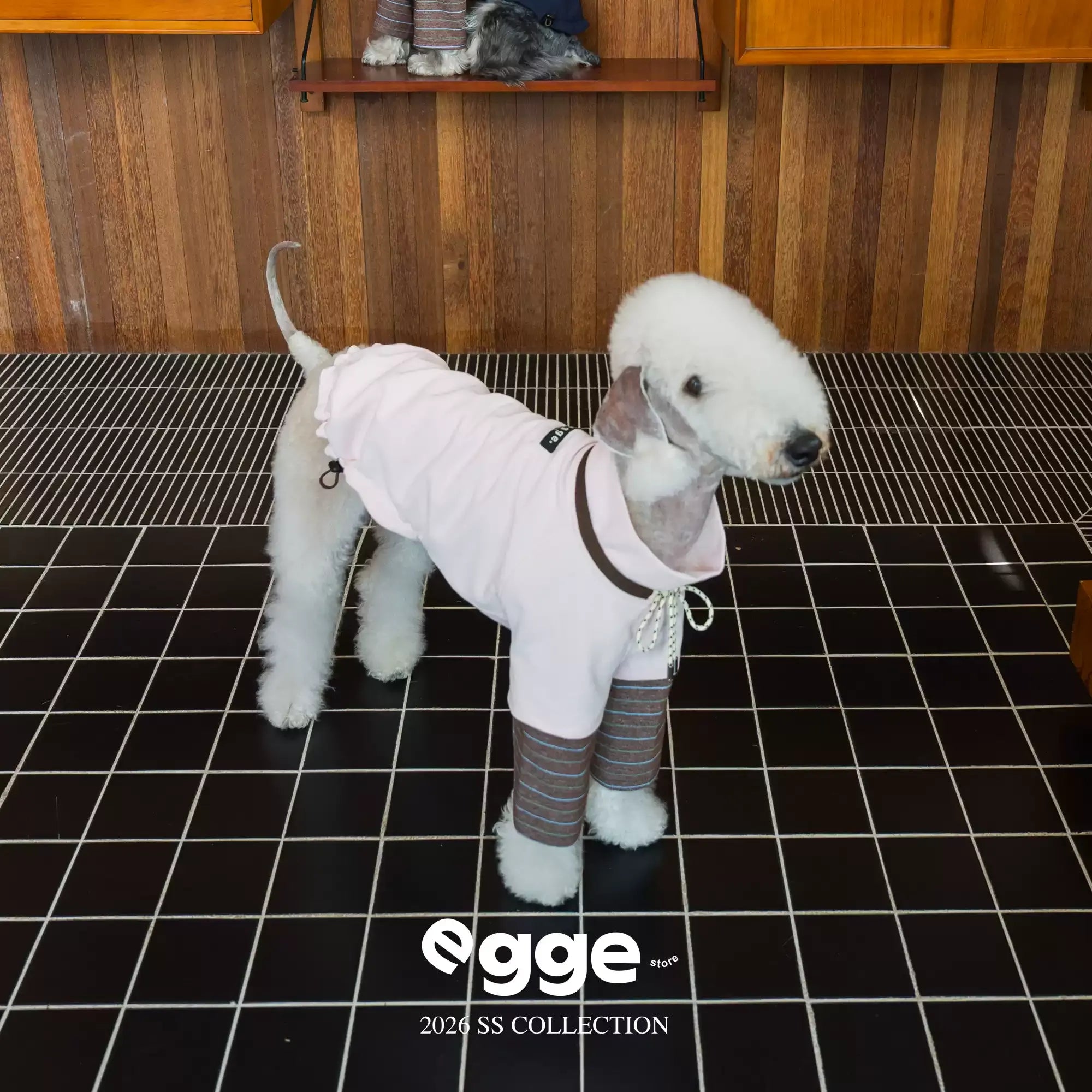 Egge Spring and Autumn College Style Dog Hoodie