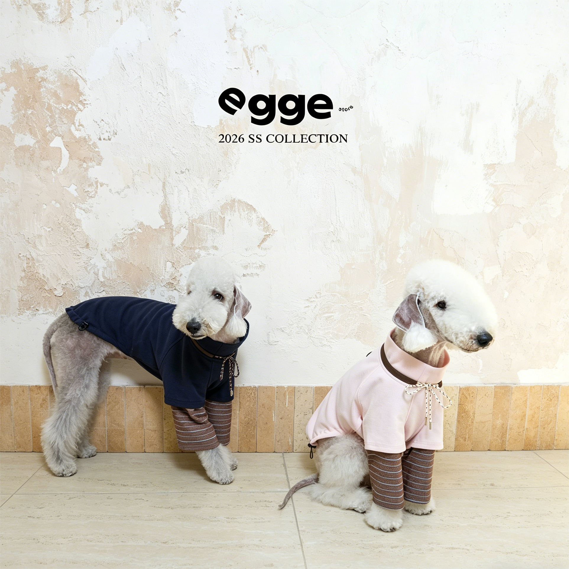 Egge Spring and Autumn College Style Dog Hoodie