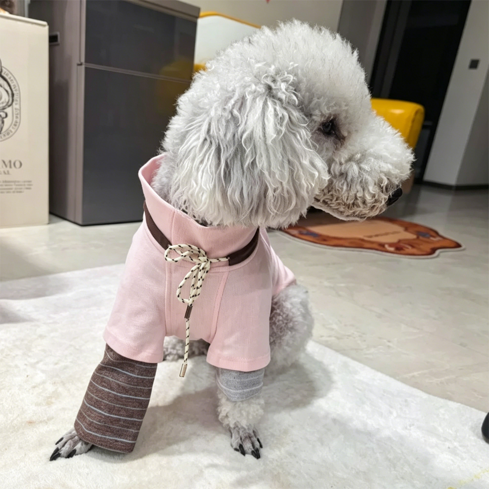 Egge Spring and Autumn College Style Dog Hoodie