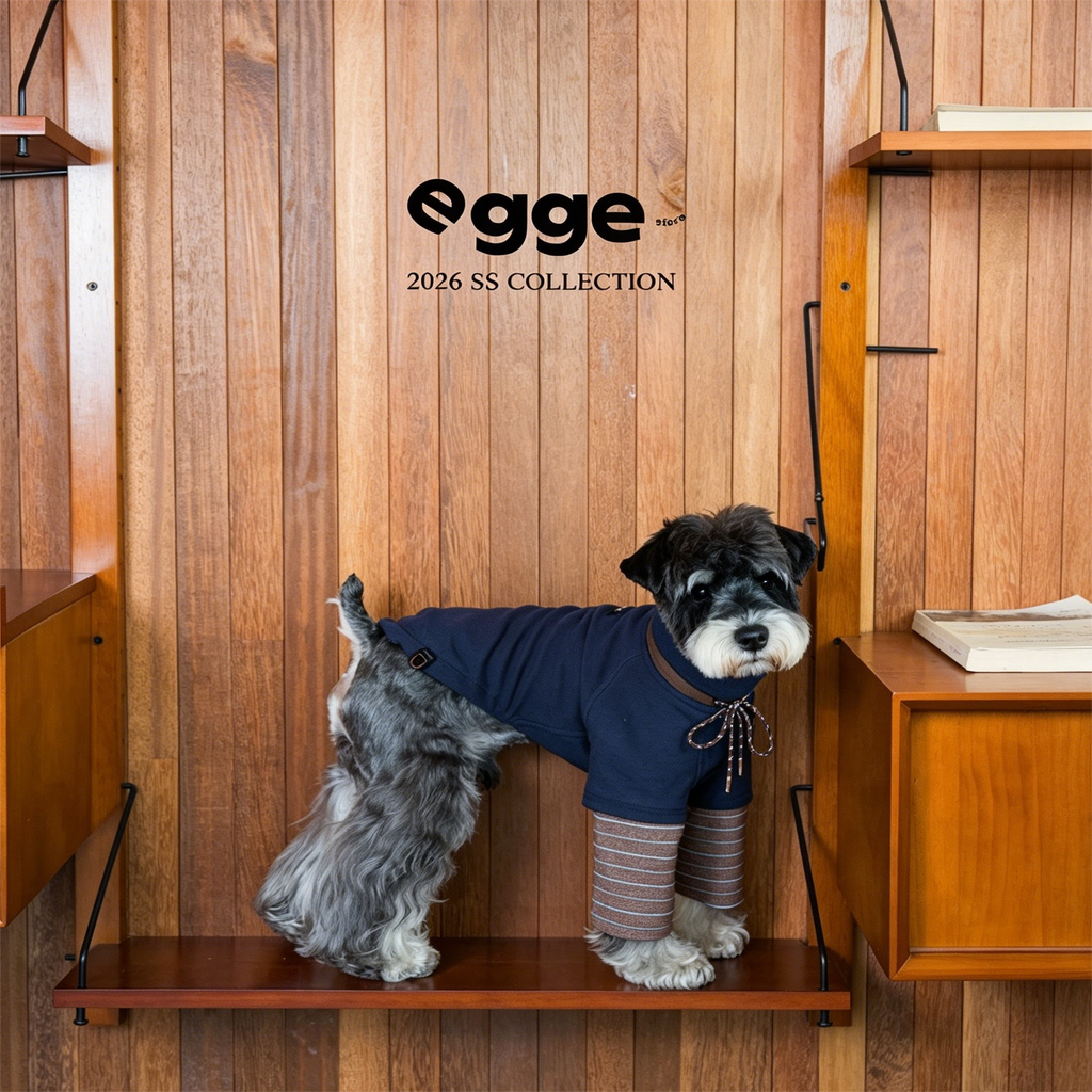 Egge Spring and Autumn College Style Dog Hoodie