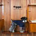 Egge Spring and Autumn College Style Dog Hoodie