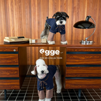 Egge Spring and Autumn College Style Dog Hoodie