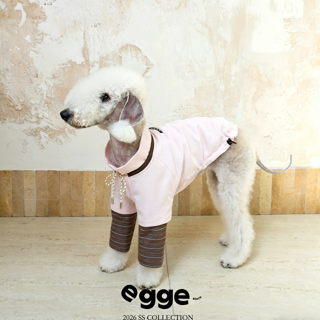 Egge Spring and Autumn College Style Dog Hoodie