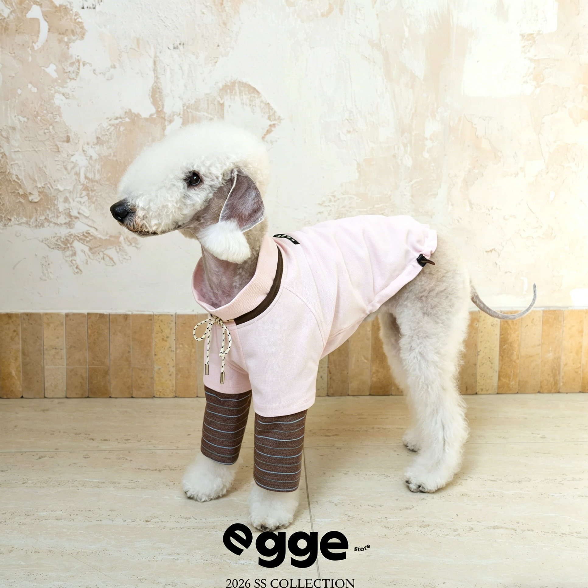 Egge Spring and Autumn College Style Dog Hoodie