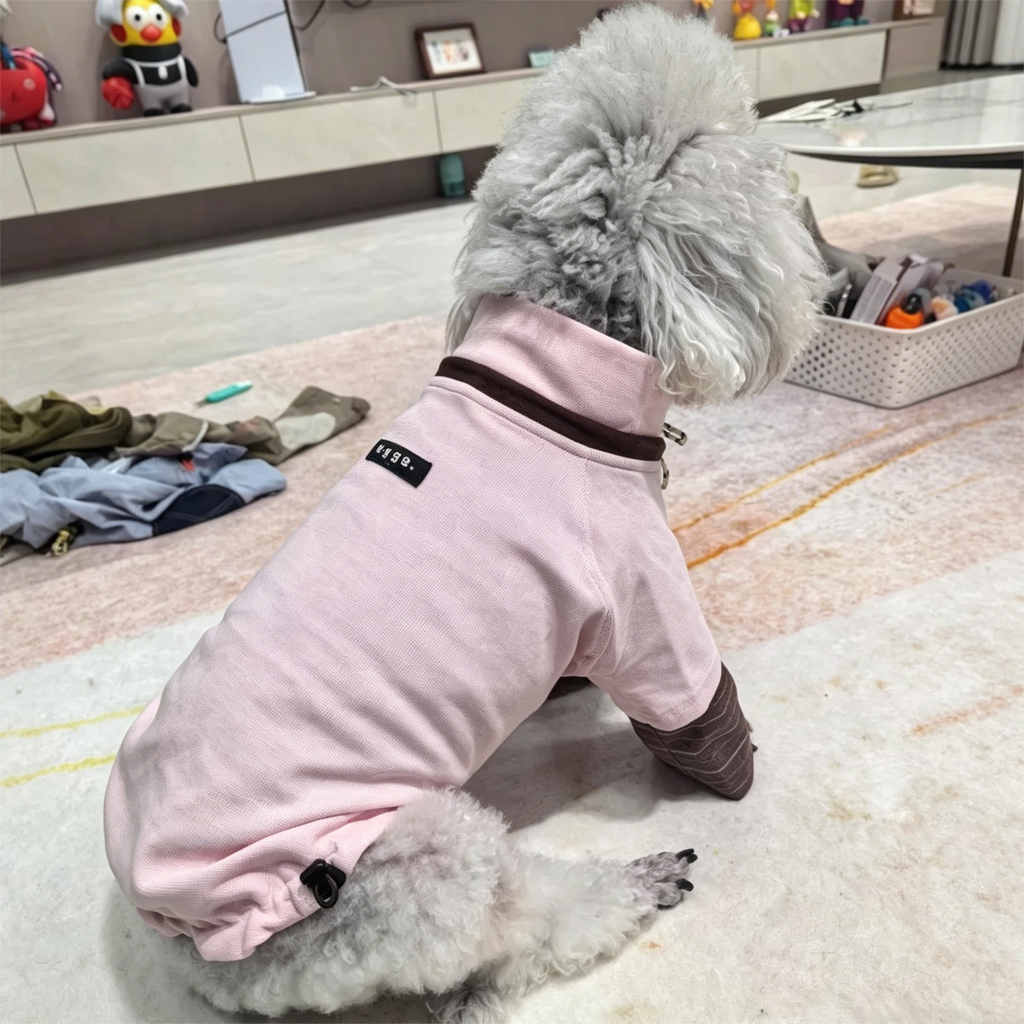 Egge Spring and Autumn College Style Dog Hoodie