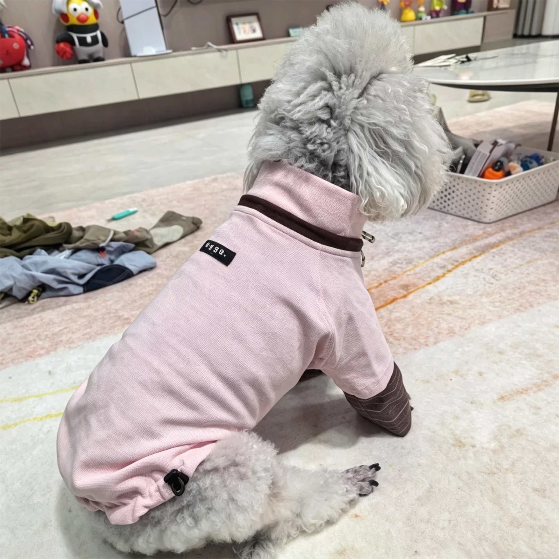Egge Spring and Autumn College Style Dog Hoodie