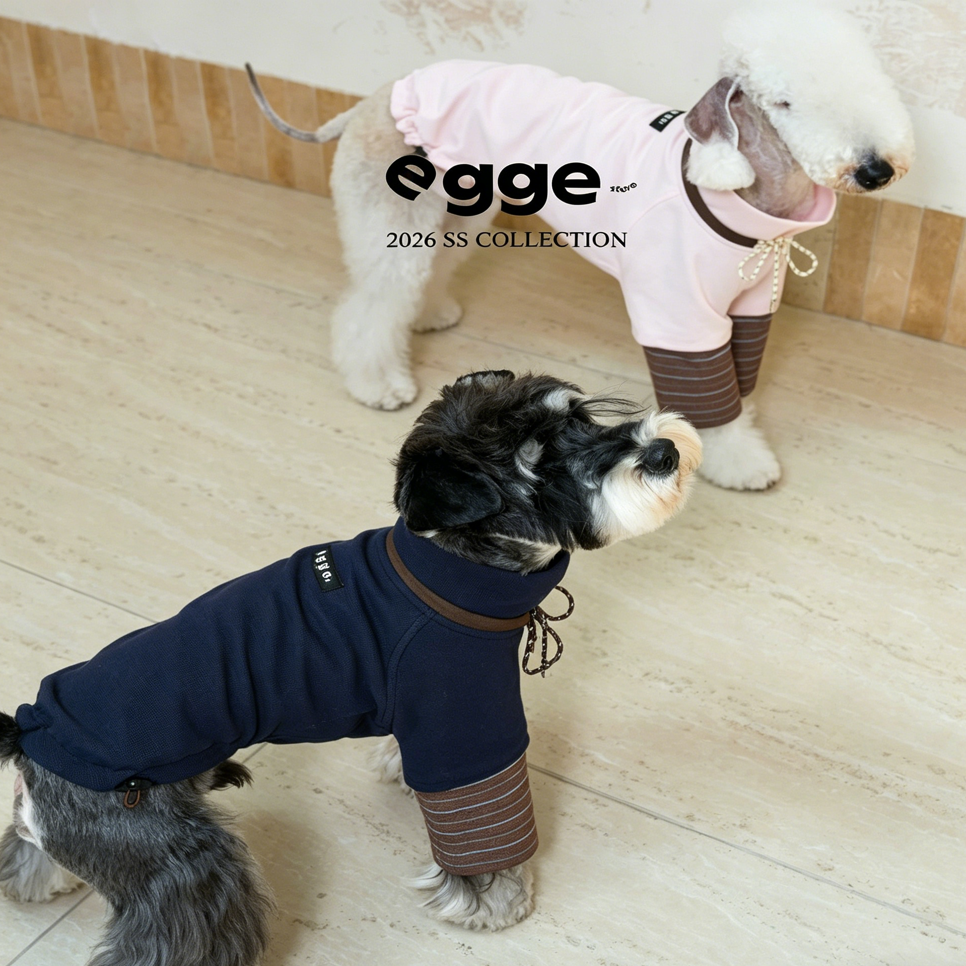 Egge Spring and Autumn College Style Dog Hoodie