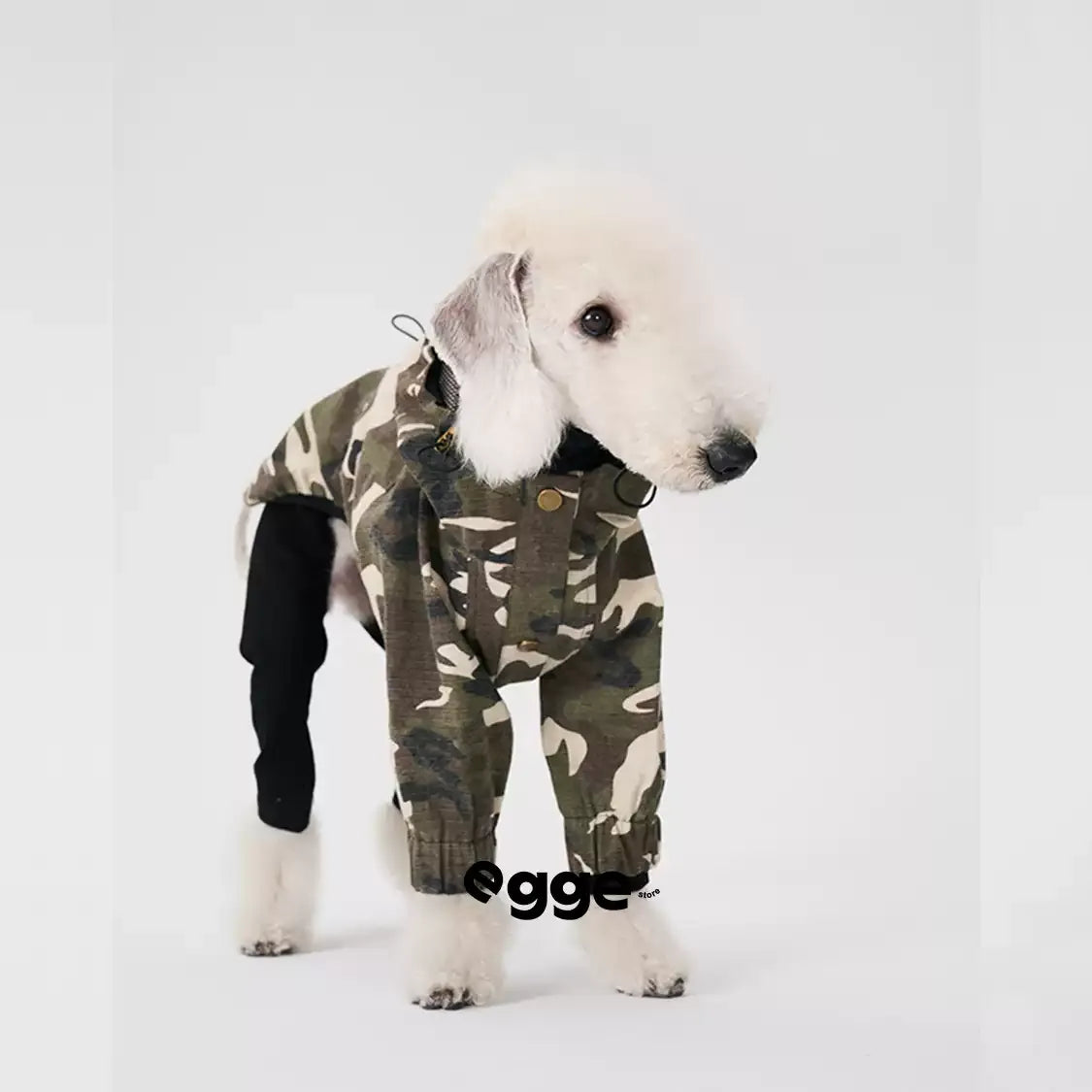 Egge Dog Outdoor Windproof Jacket