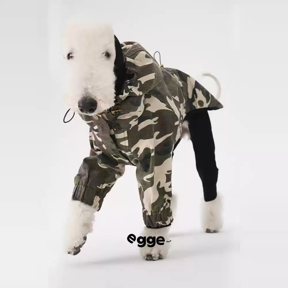 Egge Dog Outdoor Windproof Jacket