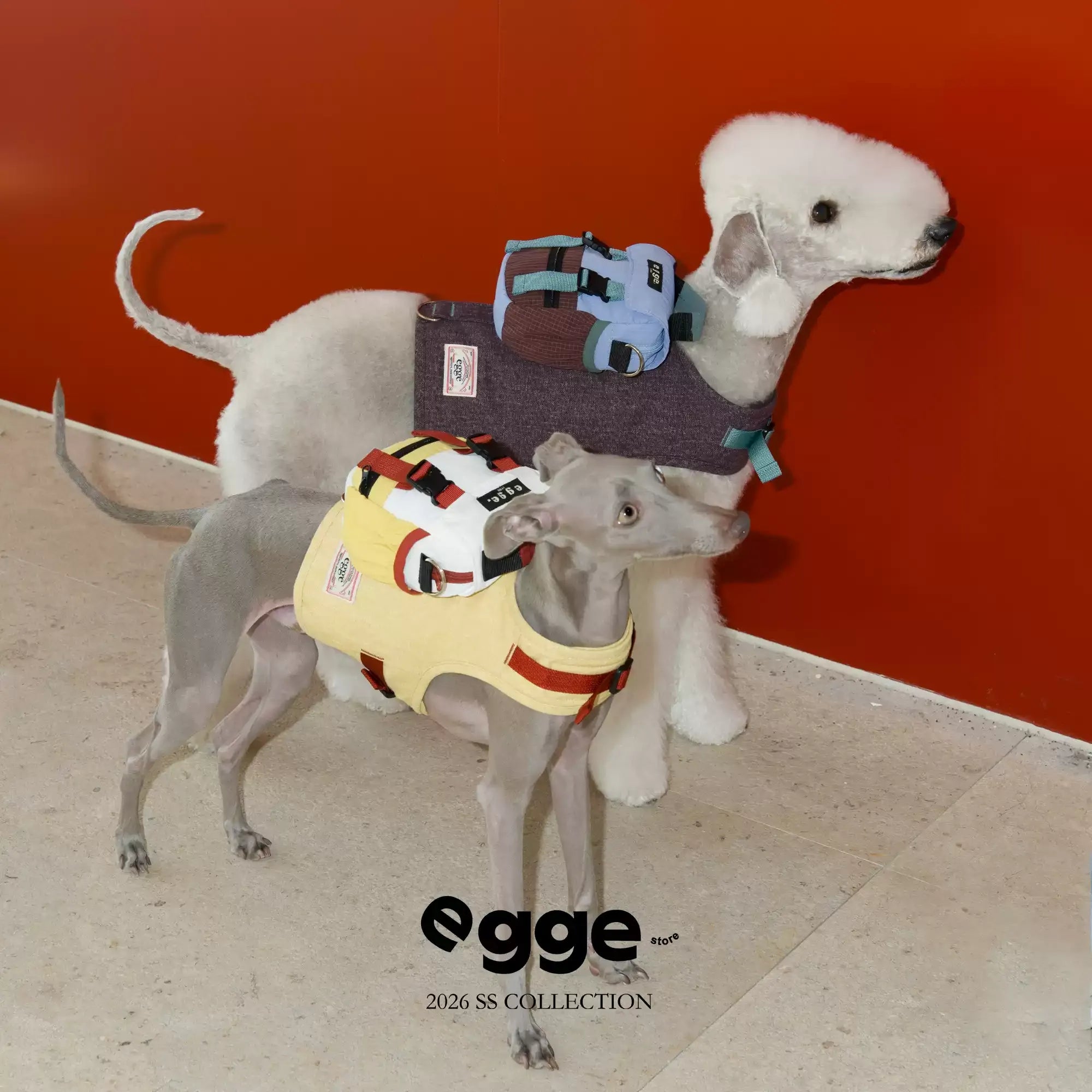 Egge Dog Vintage Color-Blocked Backpack Paired With Matching Harness