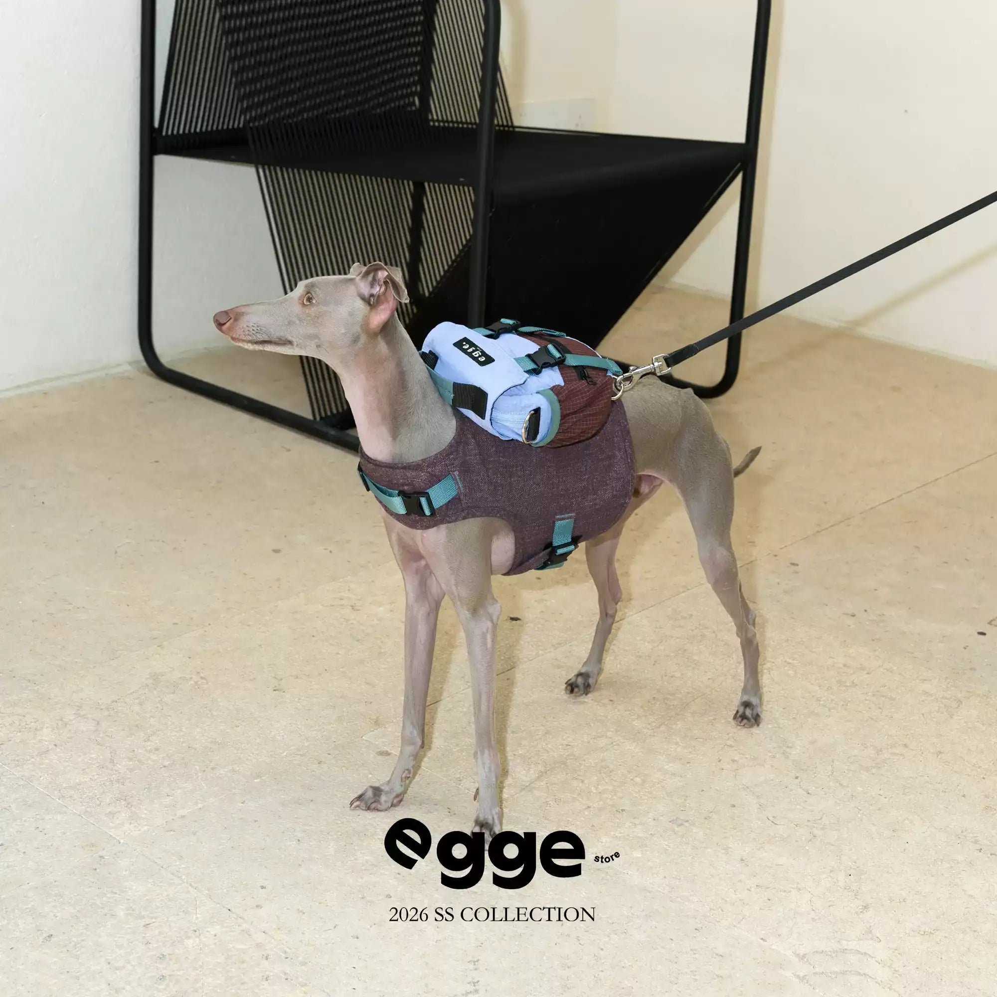 Egge Dog Vintage Color-Blocked Backpack Paired With Matching Harness