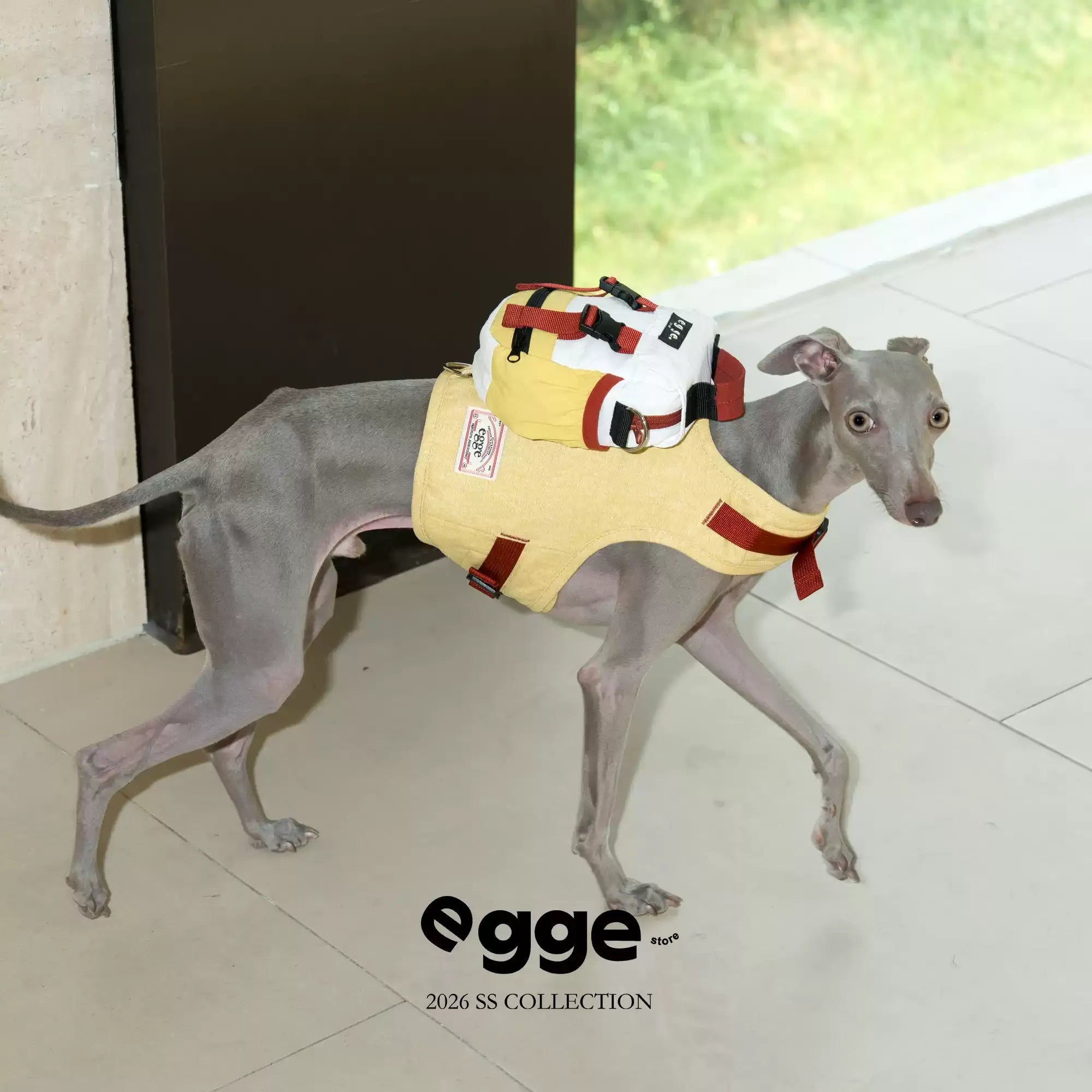 Egge Dog Vintage Color-Blocked Backpack Paired With Matching Harness