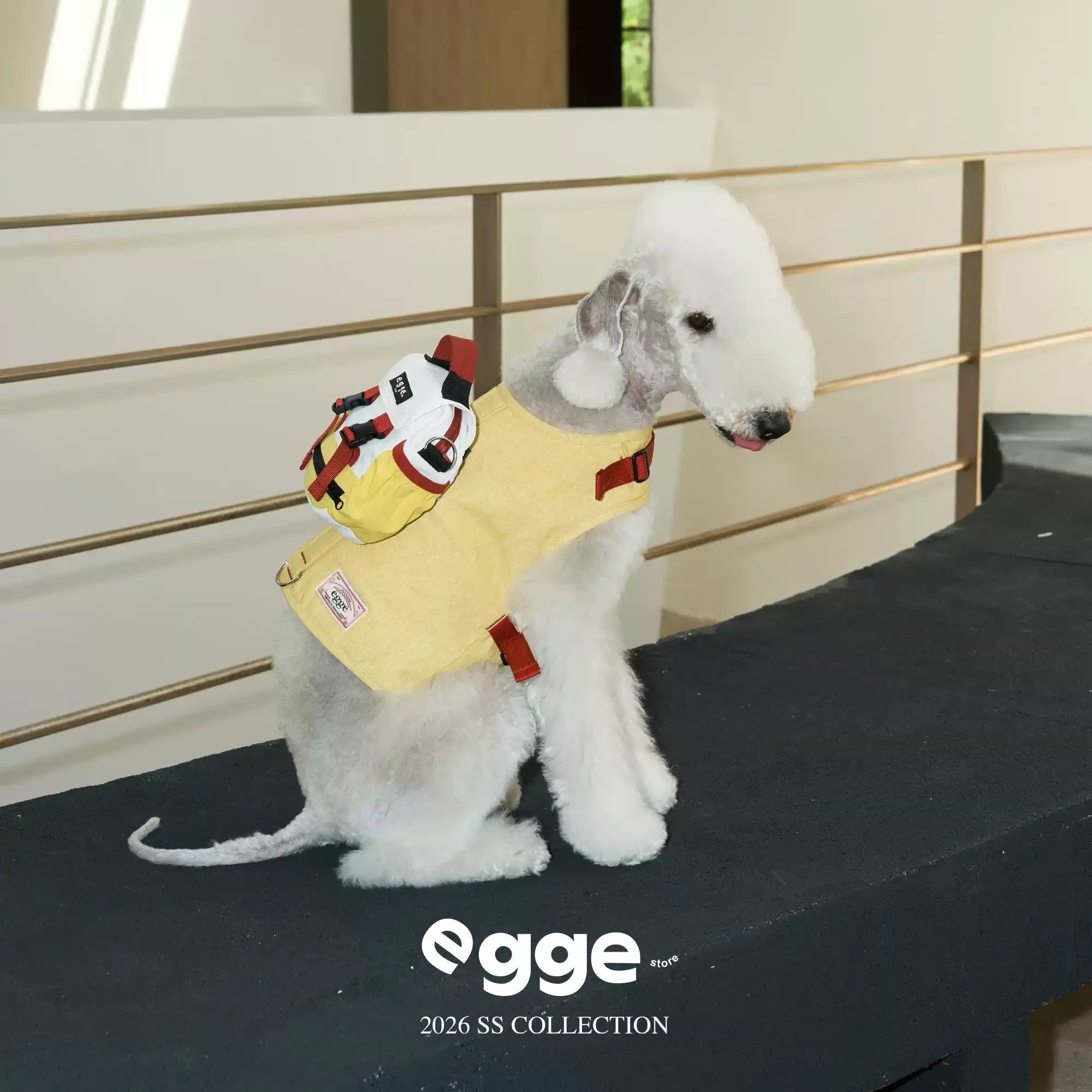 Egge Dog Vintage Color-Blocked Backpack Paired With Matching Harness