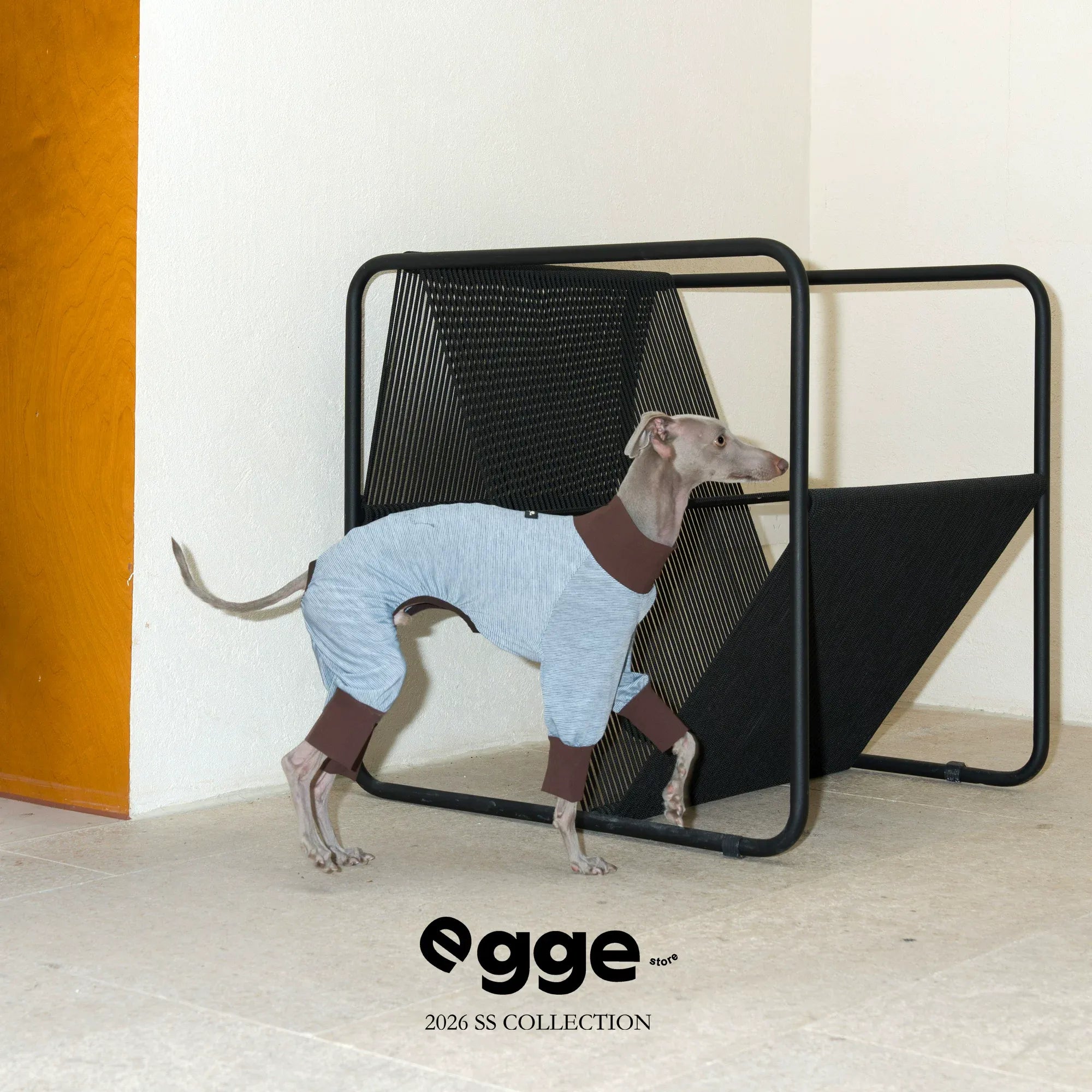 Egge Ice-Skin Dog Cool-Feeling Four-Legged Clothes, Breathable And Insect-Proof In Summer