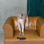 Egge Ice-Skin Dog Cool-Feeling Four-Legged Clothes, Breathable And Insect-Proof In Summer